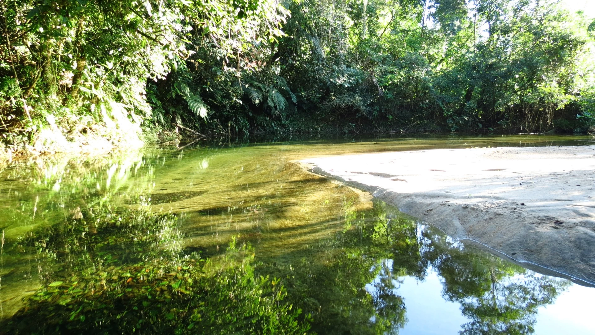 Tudoem Ilhabela