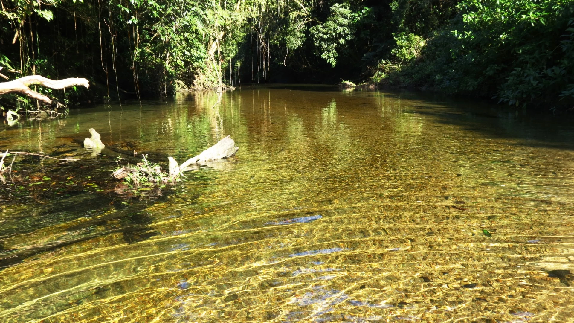 Tudoem Ilhabela