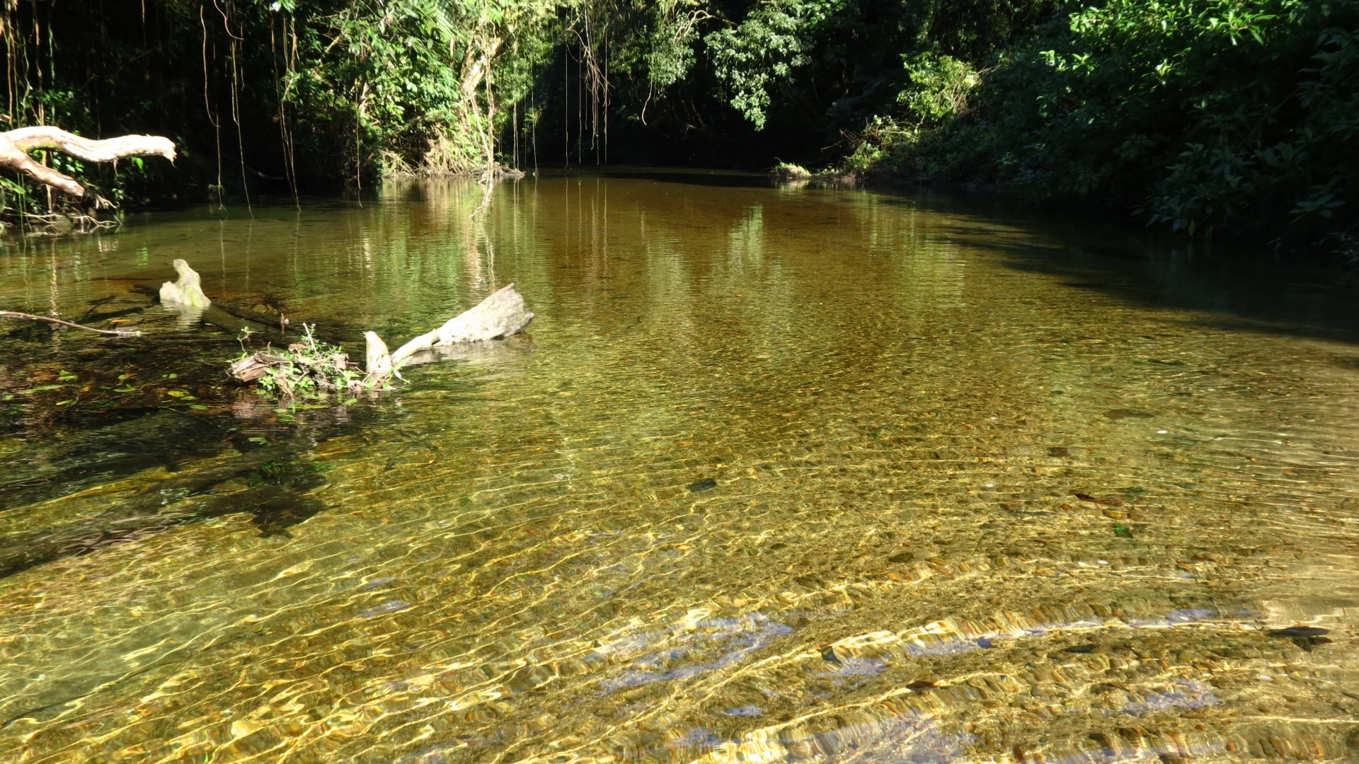 Tudoem Ilhabela