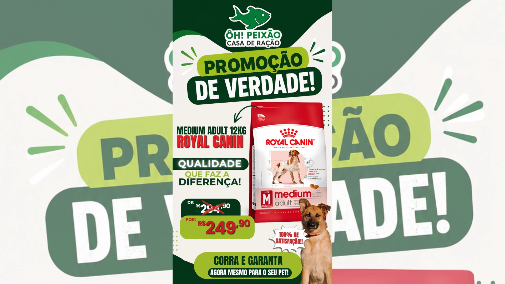 Royal Canin em Promoção